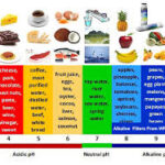 all things health fitness and wellness a picture of the alkaline food chart