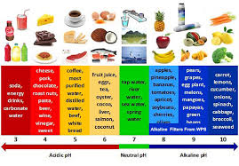 alkaline lifestyle picture of the alkaline chart