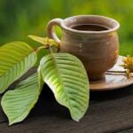 kratom image of a cup of tea with kratom leaves on the side of cup